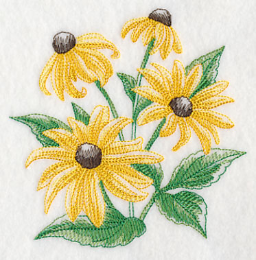 Black-Eyed Susan Sketch