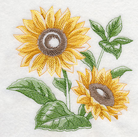 Sunflower Sketch