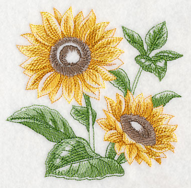 Sunflower Sketch