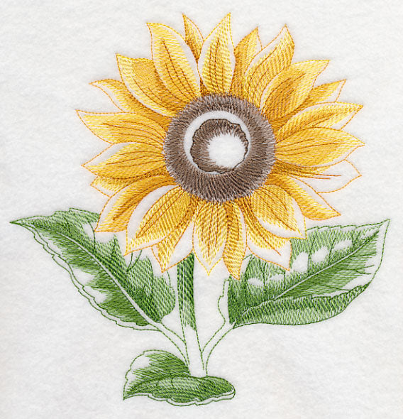 Sunflower Beauty