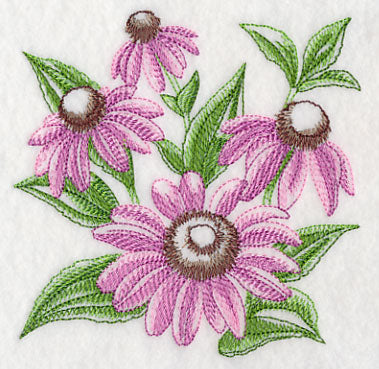 Purple Coneflower Sketch