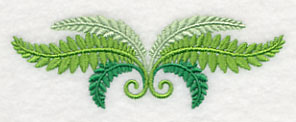 Fresh Fern Border