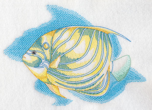 Sea Life Splash - Blue Ring Angelfish