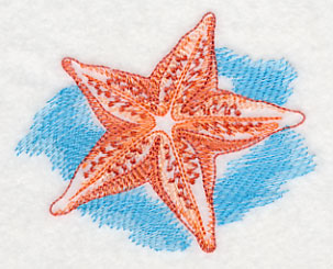 Sea Life Splash - Starfish