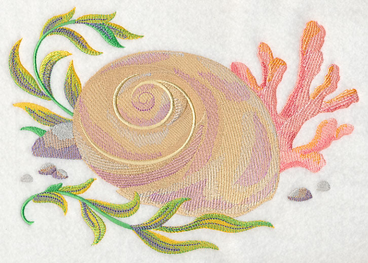 Seashell 2 in Watercolor