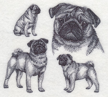 Pug Sketch