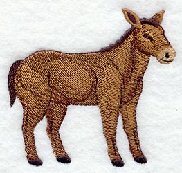 Donkey