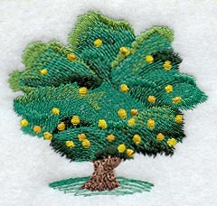 Lemon Tree - No Text