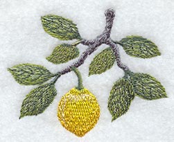 Lemon Branch - No Text