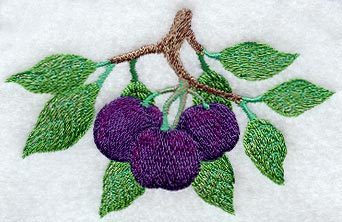 Plum Branch - No Text