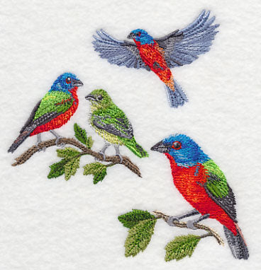 Painted Bunting Collage