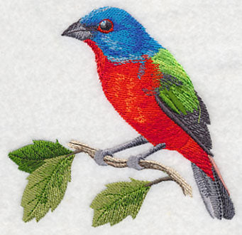 Painted Bunting on a Branch