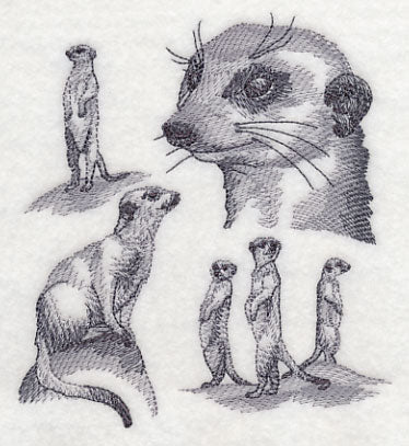 Meerkat Sketch