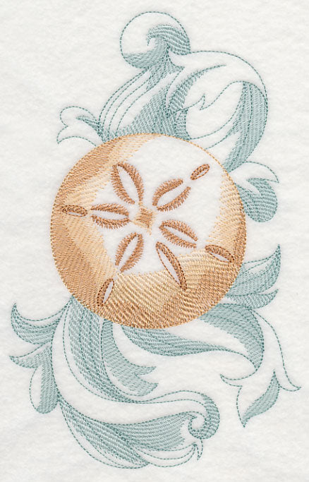 Sand Dollar with Baroque Background