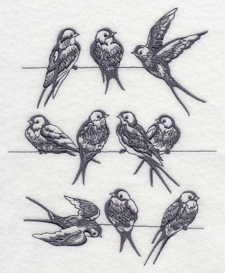 Swallows on a Wire