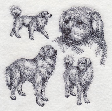 Great Pyrenees Sketch