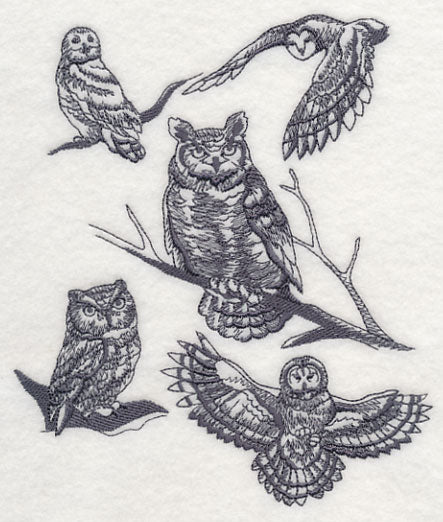 Owl Wisdom