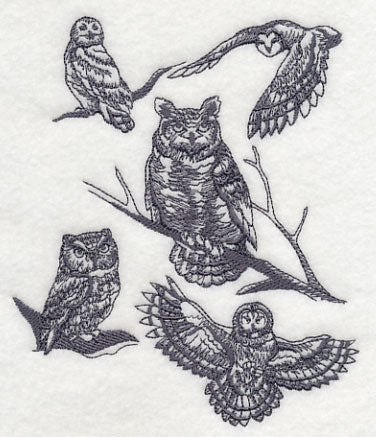 Owl Wisdom