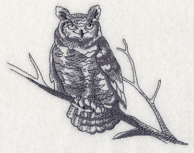 Owl Wisdom - Great Horned Owl