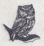 Owl Wisdom - Screech Owl
