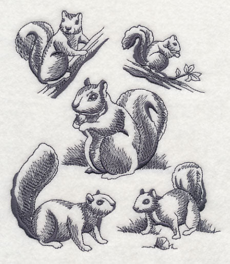 Squirrel Scurry