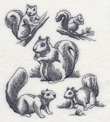Squirrel Scurry