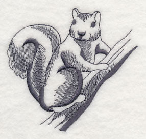 Squirrel Scurry 1