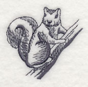 Squirrel Scurry 1