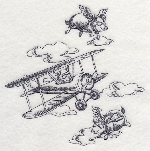 Flying Pigs and Plane