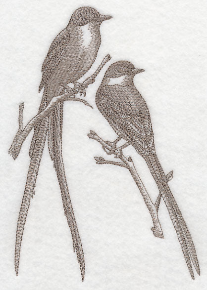 Fork-tailed Flycatchers (Toile)