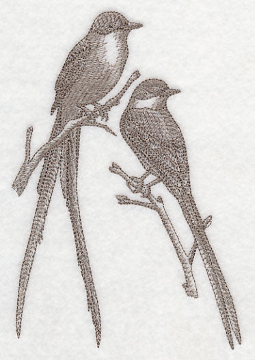 Fork-tailed Flycatchers (Toile)