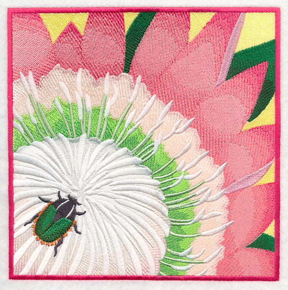 Green Protea Beetle on Protea Flower