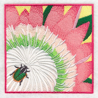 Green Protea Beetle on Protea Flower