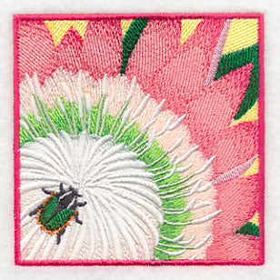 Green Protea Beetle on Protea Flower