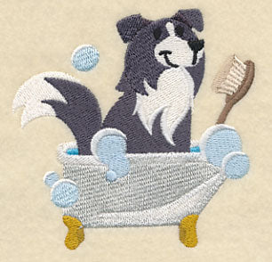 Border Collie in a Tub