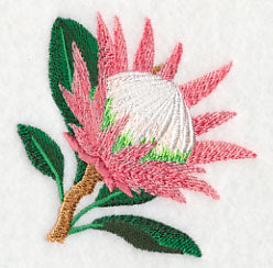 Protea Flower Single 1