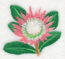 Protea Flower Single 2