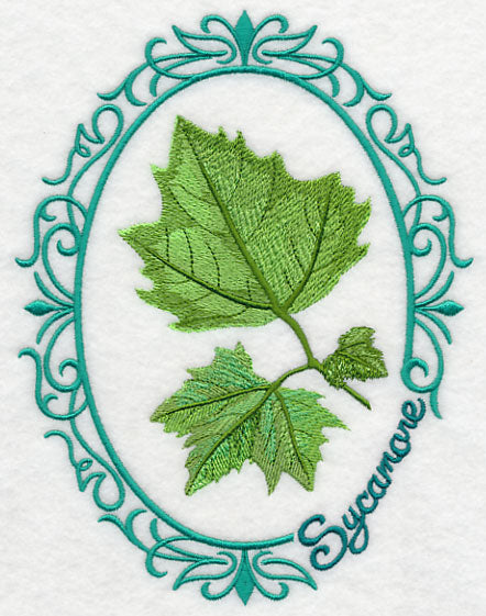 Leaf Cameo - Sycamore