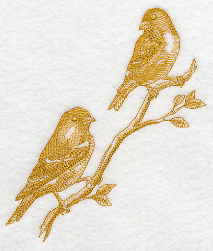 Goldfinches (Toile)