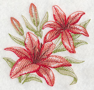 Scarlet Lilies Sketch