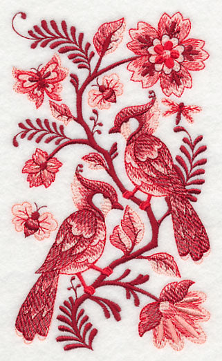 Delft Bluejays in Summer