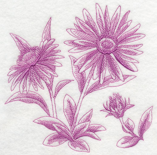 Aster Botanical (Toile)