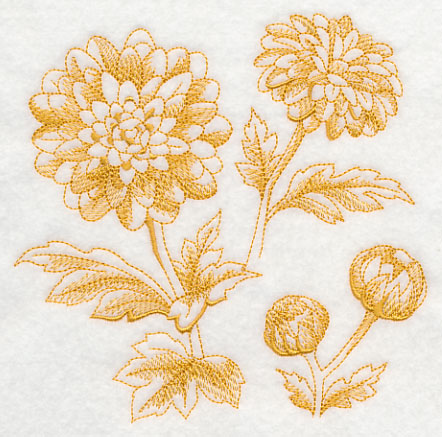 Chrysanthemum Botanical (Toile)