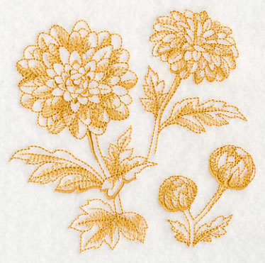 Chrysanthemum Botanical (Toile)