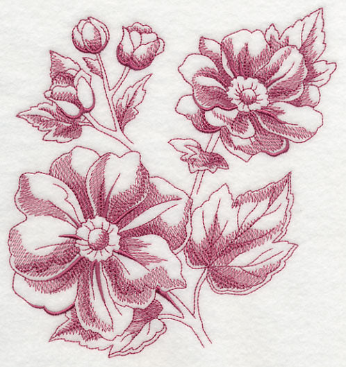 Anemone Botanical (Toile)