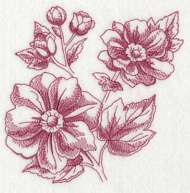 Anemone Botanical (Toile)