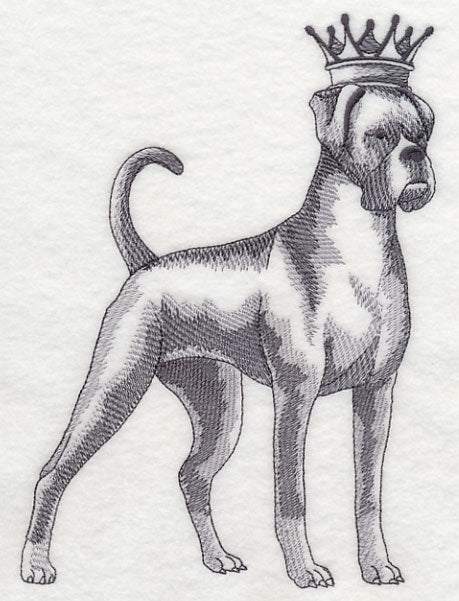 Boxer in Crown