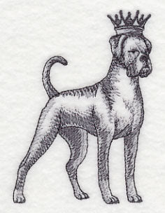 Boxer in Crown