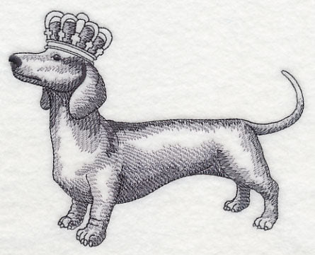 Dachshund in Crown