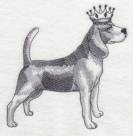 Beagle in Crown